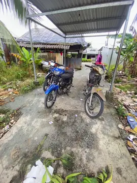 #54#52#62@Bế tắc💦 @kiên báo #xuhhtiktok2025 #xuhuong 