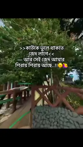 😒😎🤧👀