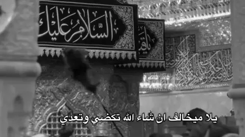 ان شاء الله تكضي 🤍#قصائد_حسينيه  #الامام_الحسين_عليه_سلام #ستوريات#كربلاء#fyp 