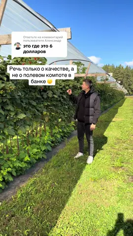 Ответ пользователю @Александр А качество это - защищенный грунт, сорт, система питания и защиты, обрезка, проветривание, контроль условий. Это не кусты в поле под дождем 😱 