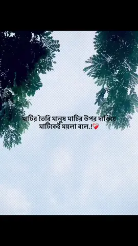 মাটির তৈরি মানুষ মাটির উপর দাড়িয়ে  মাটিকেই ময়লা বলে.!❤️‍🩹#foryou #trending #banglacaption #popularvideo #captionvideo 