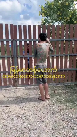 ထမင်းတောင်စားနေတာဟိုက🥺🥺#ထိုင်းရောက်ရွှေမြန်မာ🇲🇲🇲🇲🇲🇲 #စိတ်ထားပြေ့ဝလိုက်တာအဲ့လိုလူမျိုး🥺🥺#ရောက်စမ်းfypပေါ် #🇹🇭❣🇲🇲 