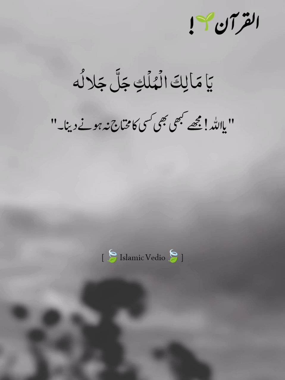 course of #💝🥀 #repost #request #true_lines #islamic_video @𝐅𝐢𝐤𝐡𝐫𝐞-𝐃𝐞𝐞ن🫀 @🍃𝐐𝐔𝐑𝐀ن𝐈_𝐖𝐎𝐑𝐋𝐃🍃 