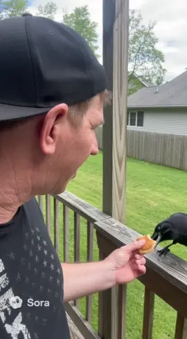 #CapCut #genx#crows #fyp 