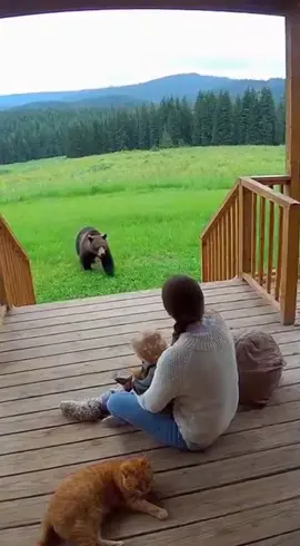 Brave cat #cat #baby #fyp #viral #bear 