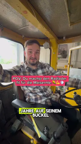 Über 50 Jahre auf dem Buckel und immer noch im Einsatz. 💪 Unser alter gelber Radlader ist einfach eine Maschine.  Und damit er auch weiterhin rund läuft, warten wir ihn heute nochmal vor der Maisernte. 🌽 Seid ihr eher ein Fan von alter oder neuer Technik?  Lasst es uns mal in den Kommentaren wissen. ⬇️ #schwenkshofleben #landwirtschaft #landmaschinen #radlader #maisernte 
