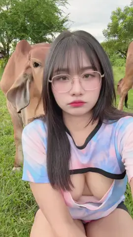 Có ông nào muốn làm con bò trong video không nói mâu 🤣 #fyp #foryou #viralvideo #viral #trending 