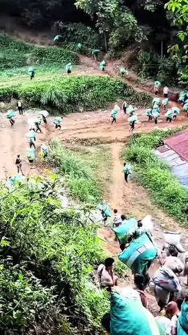 Lải lơ lải lơ 📞📞📞😂#kysuvungbien🇻🇳🇻🇳 #biengioiviettrung🇻🇳🇨🇳 