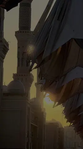 #CapCut #اكتب_شي_توجر_عليه #ارح_سمعك_بالقران #fyp 