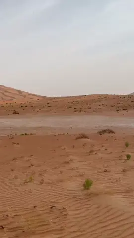 #اكسبلور #الربع_الخالي_الرمله #الشعب_الصيني_ماله_حل😂😂 