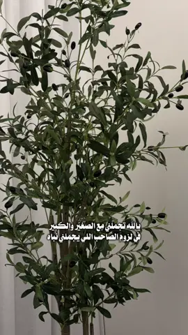 #اكسبلوررر 