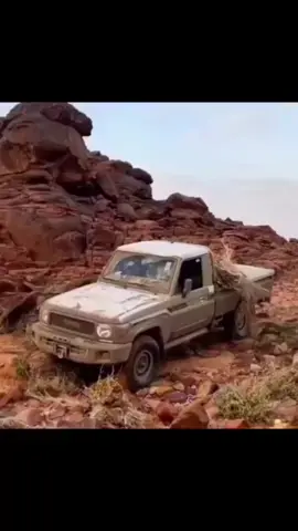 #الطبيق_حرة_الحره_الخنفه_القريات_طبرجل #اكسبلورexplore #الشتاء🎻🎼 #شاص #viral 