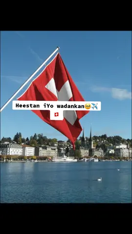 heestan iyo wadankan say iskugu soo baxayaan🇨🇭✈️🥹#zurich🇨🇭 #switzerland🇨🇭 #switzerland🇨🇭 #zurich🇨🇭 #zurich🇨🇭 