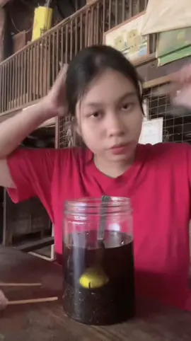 #ကိုယ်တိုင်ပဲအပင်ပန်းခံပြီးလုပ်တယ်သုံးစွဲသူတွေစစ်မှန်မှုရအောင်လို့☺️#vloggerအသစ်ကလေးမို့အားပေးကြပါဦး😙 #Loon 🪐