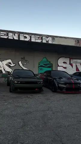 • @_srt.xxll 🐝🐝🐈‍⬛🐝 . . . . . . . . . . . . . . . . . #srt #mopar #dodge #v8 #392 