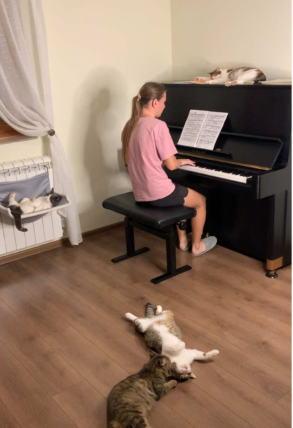 III ROUND CHOPIN COMPETITION in front of the jury: Zlatko, Puhka, Bambilla and Sylvester! ➡️ FEED THE JURY AND GET TAGGED: 🔗 Store, PayPal and Revolut links in bio! @pianists_mariana.dimcho  @runners_dimcho.mariana  #pianopractice #chopincompetition #concertpianist #classicalpianist #pianist                         