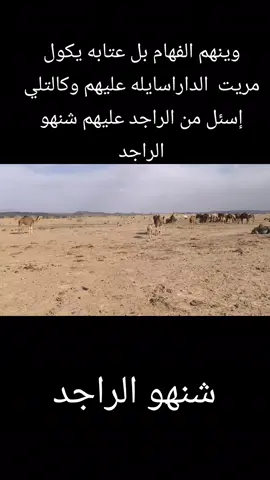 ربابه #ملا ضيف ـالجبوري#عتابات @استوريات 💔 احمدعزيزالجبوري#حزينه_جدا🥱💔 #عتابه @ موال@موالات@مواويل@مال ضوجه@جيل_الطيبين ❤ #قاسم محمد