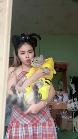 มีความสุขมากที่ได้ยู่กับแมว#ฝากติดตามก่อนกึมุแน่เด้อทุกคน #CapCut #บ้าไปแล้ว 