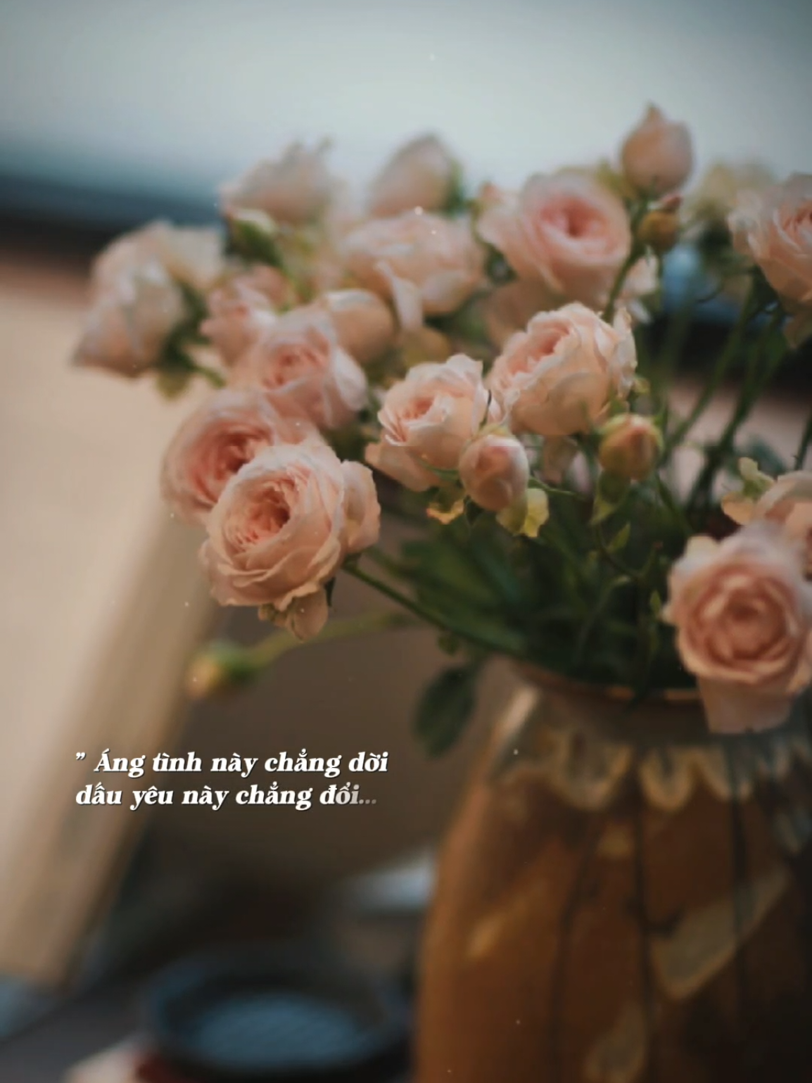 Người hỏi em có yêu người đậm sâu... #nhachaymoingay #anhtrangnoiholongtoi 
