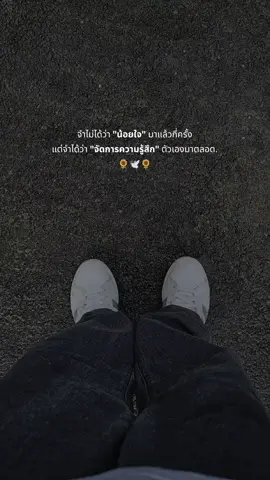 🌻🪼🐋🩶🖤🥀 #fyppppppppppppppppppppppp #สตอรี่_ความรู้สึก😔🖤🥀 #wlw #เทรนวันนี้ 