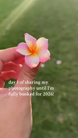 day 1 of sharing my photography until I’m fully booked for 2026! let’s see how many days this will take me 🤭👀