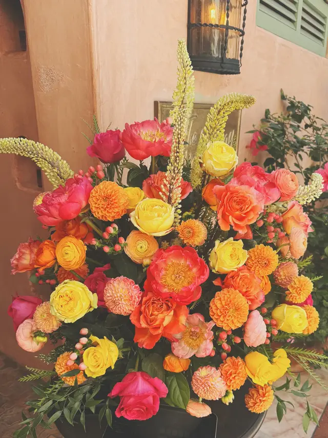 🌺💋🌅🐚🕯️🎞️🎀