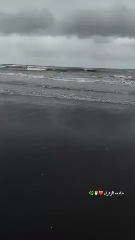 مثل ساعة رمل صبري🤎.. .  .  #باسم_الكربلائي  #باسم_الكربلائي_خادم_لن_يتكرر  #قصائد #قصائد_حسينيه  #viral 