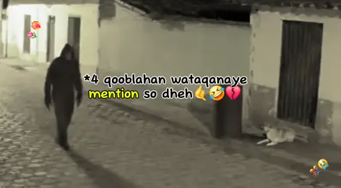 4 qooble#CapCut #viraltiktok #somalitiktok #CapCut # #CapCut 
