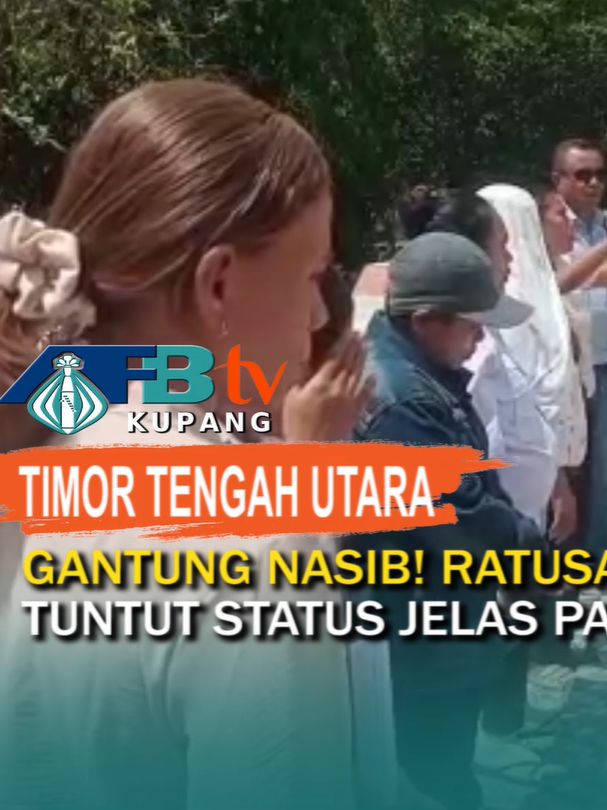 Gantung Nasib! Ratusan PPPK TTU Bakar Lilin Tuntut Status Jelas Pasca Pembatalan Kelulusan. #beritaterbaru #beritaterkini #nusatenggaratimur #kotakupang #AFBTV #pppk2024 #PPPK