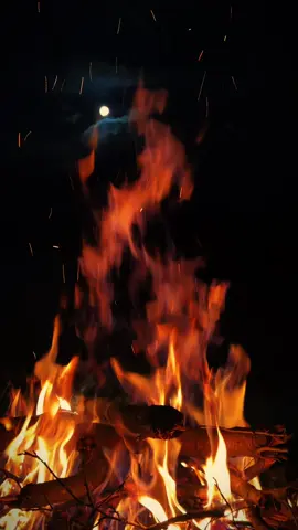🫀