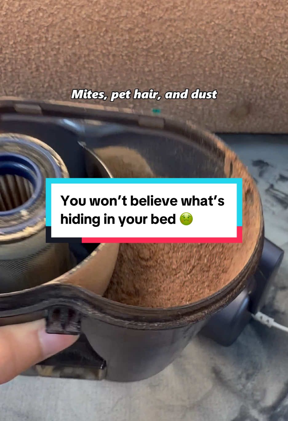You won’t believe what’s hiding in your bed 🤢 #teant #TEANT #comeback #dustmites#dustmiteallergy #TikTokShop #cleaning #mattressvacuum #deepclean #fyp #foryoupage #foryou #musthave #tiktokmademebuyit #healthyliving #homecleaning #vacuum #mattresscleaning #ShopVideoCarnival#shopvideocarnlval #dealsforyoudays#TikTokShopSummerTurnUp #SelfCare #grwm #elevateyourhome #treasurefinds #sunsetsavings #treasurefinds #seasonalessentials #selfcarefinds #makecozyhomeaffo #smartliving #RushTok2025 #TikTokShopBacktoSchool #videowave #TikTokShopRestock #TikTokShopfalldealsforyou 
