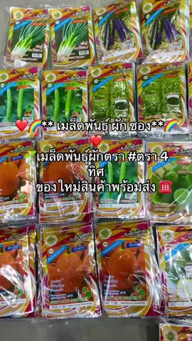#เมล็ดพันธุ์ผัก #สี่ทิศ 