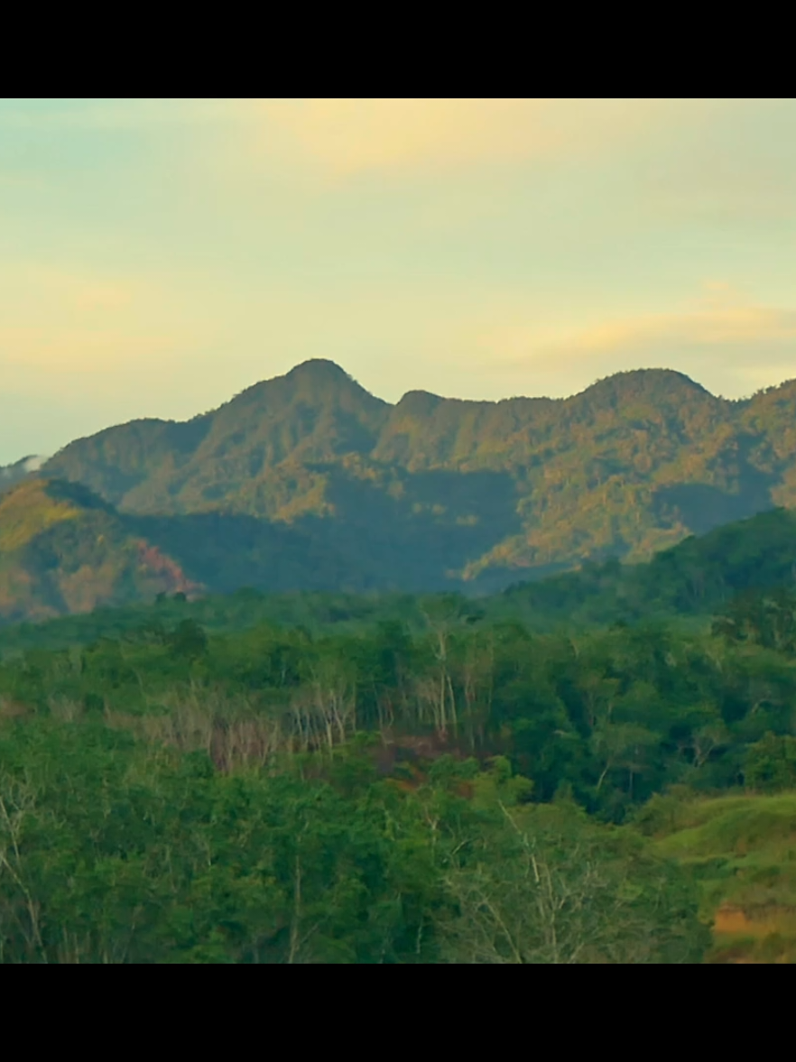 view in panyabungan  📷Lumix GX85  #lumixgx85 #lumix #panyabungan #mandailingnatal 