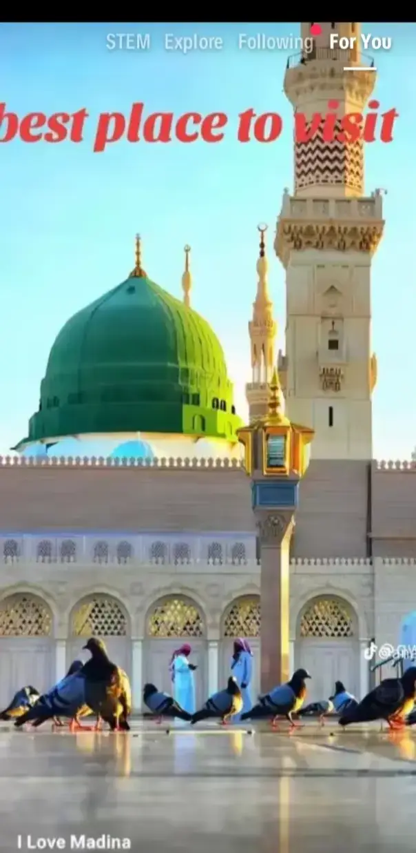 ❤️🕌🕌🕋🕋🕌🕋🕋❤️🙏🏻🙏🏻❤️❤️🇵🇰🇵🇰🕋🕋🕌🕌🕋🕋🕋