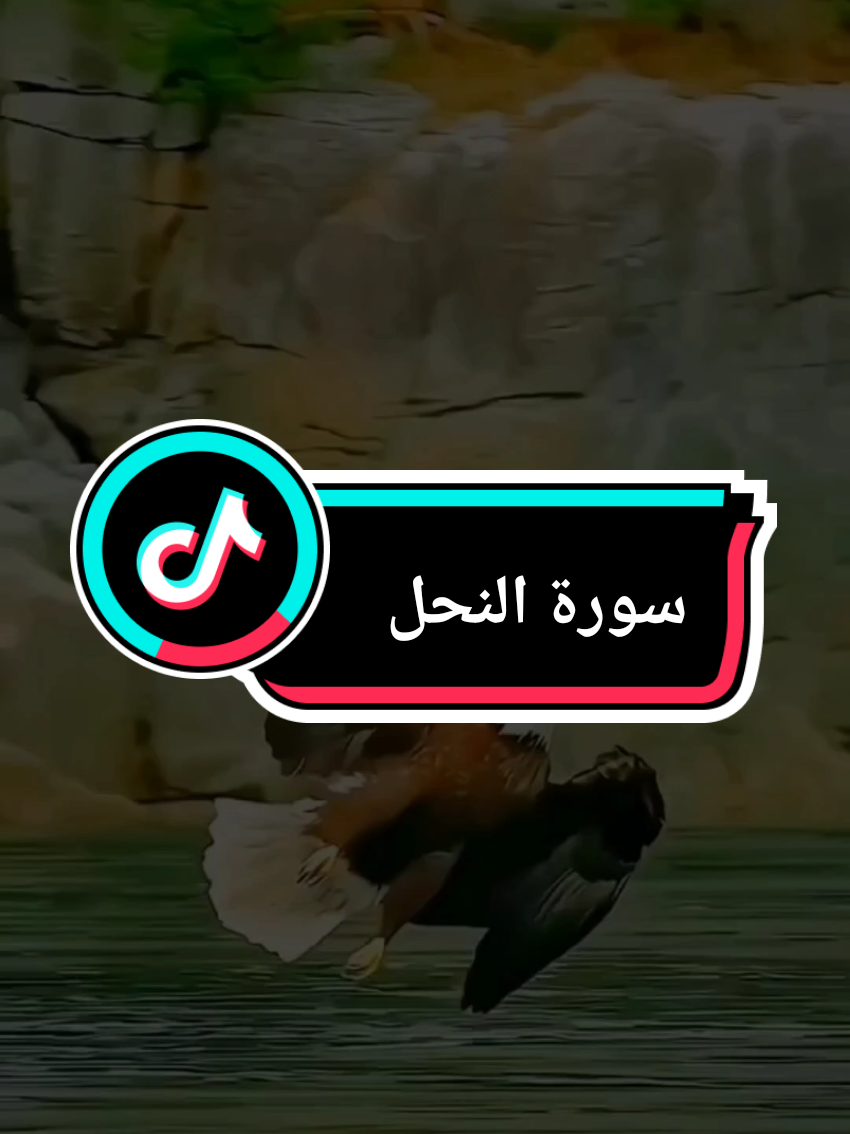 #ولله_يسجد_ما_في_السموات_والارض #سورة_النحل #الله #قران_كريم #القران_الكريم 