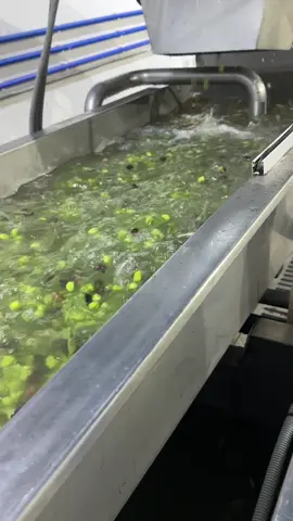 #LIVEIncentiveProgram #JustGoLIVE #PaidPartnership 