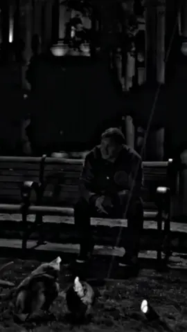 #😔💔🥀 #duhok #zaxo #kurdistan #duhok_zaxo_amedi_semel_akre 