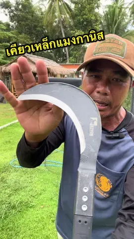 #เคียาหวดหญ้า เคียวตัดไม้ เหล็กแมงกานิสแท้สันหนา4มิลแข็งแรง#มีดขอหวดหญ้าเหล็กแมงกานิส#อุปกรณ์การเกษตร #ชัยคนเลี้ยงไก่ 