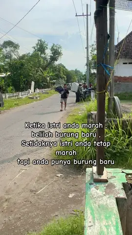 Selamat mencoba  #kicaumaniaindonesia #kicaumanianusantara #fyp 