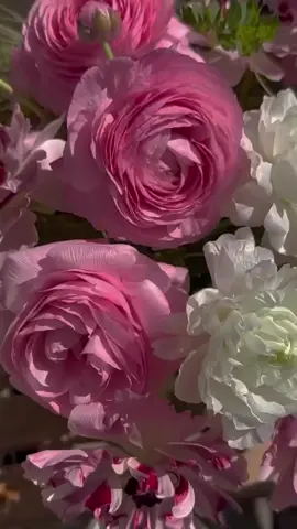 #خواطر_للعقول_الراقية 