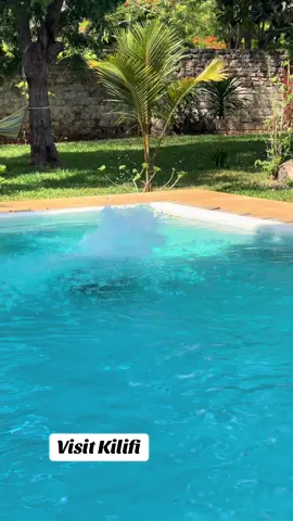 Lifestyle Kilifi County @dullah_kenya Super Host #foryoupage #fyp #kenyantiktok🇰🇪 