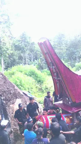 miss u kakek🥺🤍 #toraja #fyp #foryoupage #sulawesiselatan #adattoraja 