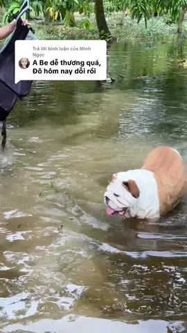 Trả lời @Minh Ngọc đi bơi cùng Be Đô #nhabedo 