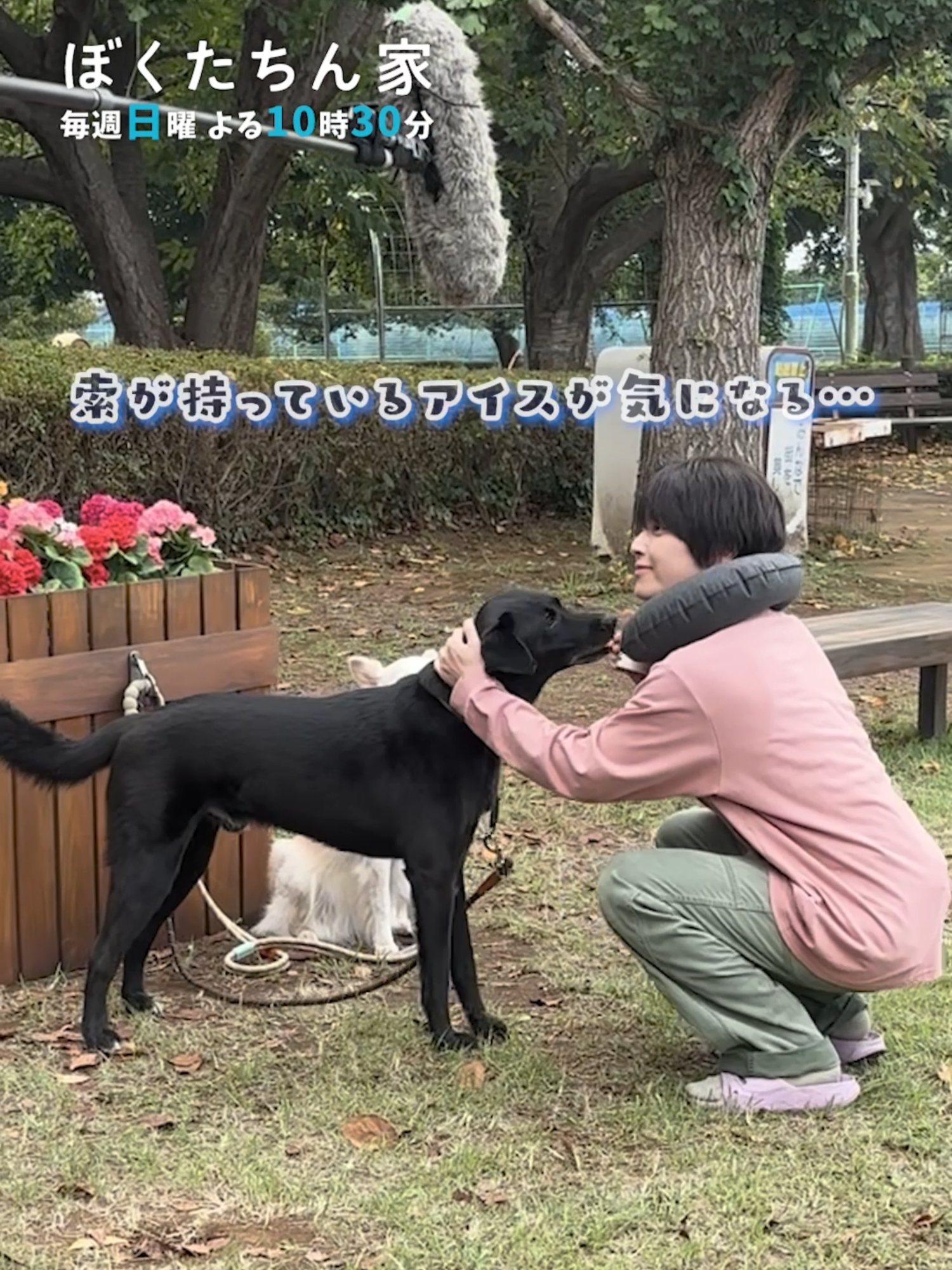 食いしん坊！? 《メイキング》 #及川光博 #手越祐也 #白鳥玉季 ⁡ TVer、Huluで見逃し配信中 🔗視聴ページURLリンクはプロフィール欄へ ⁡ #ぼくたちん家 🏠 次回【2話】10/19(日)よる10:30