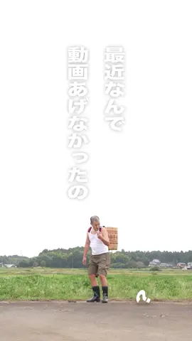 Q.最近なんで動画あげてなかったの？