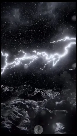 #horse #horses #🐎 #tiktokviral #fyp 