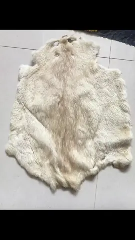 Beaver whole skin and dubbing for fly tying(We can supply more than 12 color)