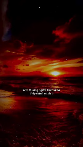 Xem thường người khác là hạ thấp chính mình 🎶 #viral #tamtrangdanong #xuhuong #sadstory #stthaymoingay 