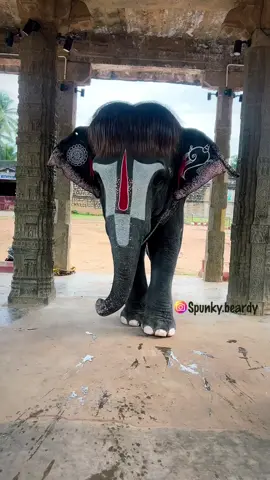 #CapCut #trendingnow #instagood #tiktokindia #instagram 