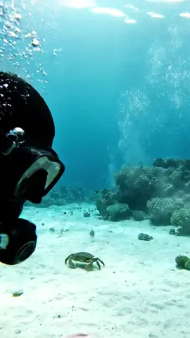 Look what I found？ #fyp #pants #jeans #fashion 